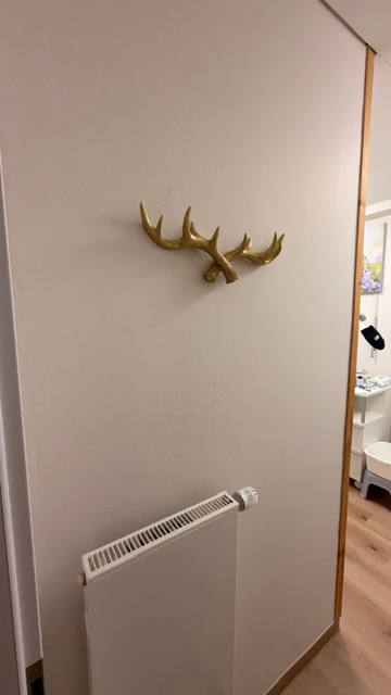Goldfarbener Garderobenhaken